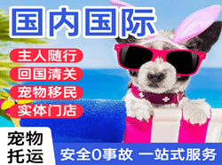 沈阳机场快递国际宠物托运 【国